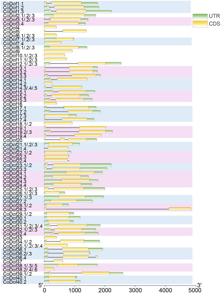 https://cdn.ncbi.nlm.nih.gov/pmc/blobs/5d92/12183095/0b54ee5cee08/fpls-16-1599849-g002.jpg