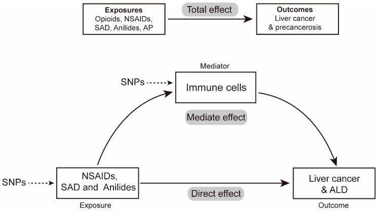 https://cdn.ncbi.nlm.nih.gov/pmc/blobs/5d94/11274554/c31265158a9d/biomedicines-12-01537-g002.jpg