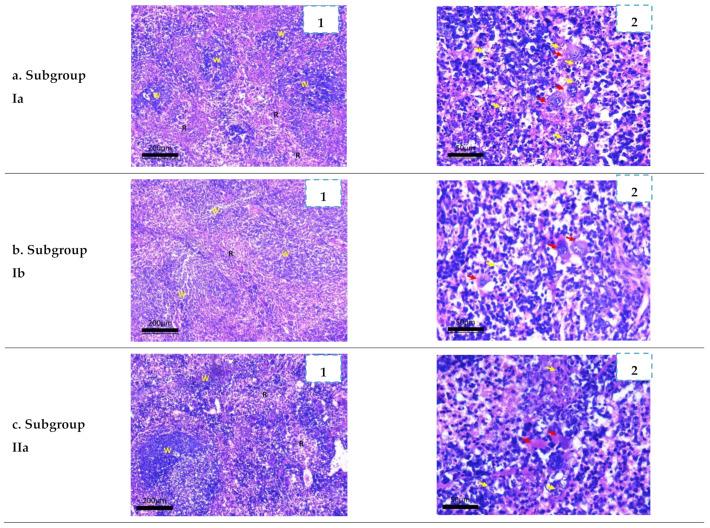 https://cdn.ncbi.nlm.nih.gov/pmc/blobs/5d94/9025934/6fd448a0b804/ijms-23-04241-g010a.jpg