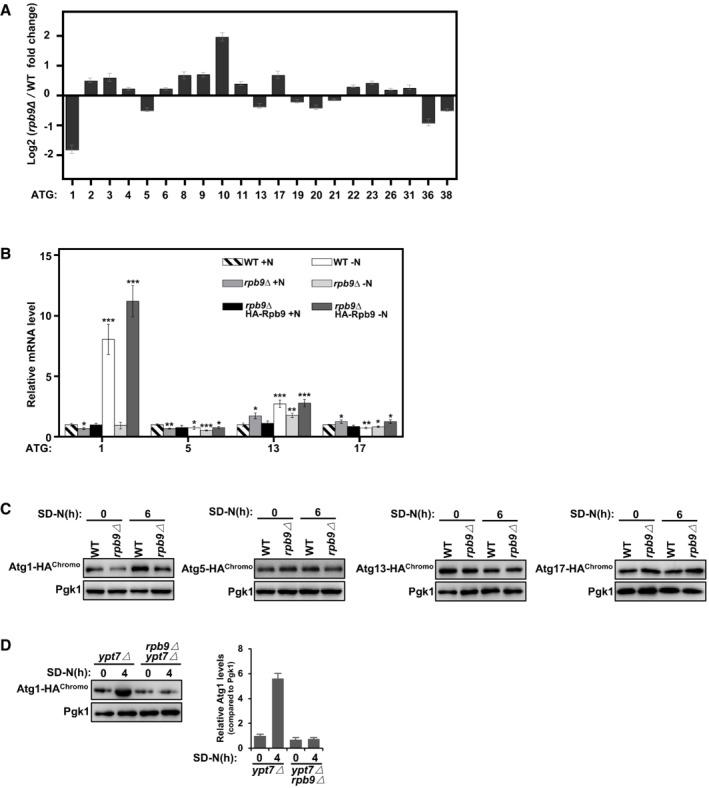 https://cdn.ncbi.nlm.nih.gov/pmc/blobs/5d94/9638876/b5da8e78336e/EMBR-23-e54993-g012.jpg