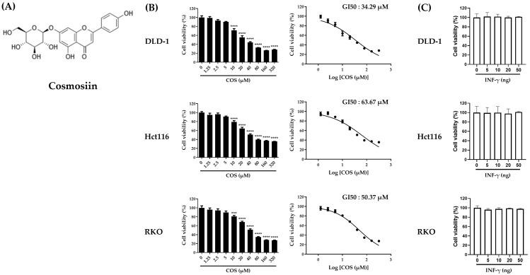 https://cdn.ncbi.nlm.nih.gov/pmc/blobs/5d95/10740471/02c7cadb67c5/antioxidants-12-02131-g001.jpg
