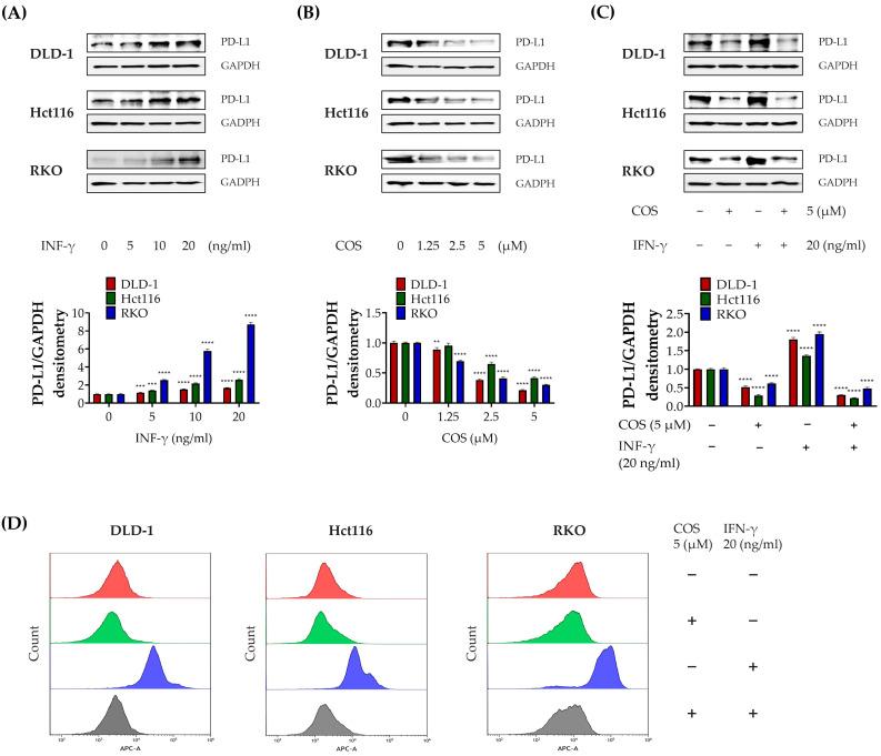 https://cdn.ncbi.nlm.nih.gov/pmc/blobs/5d95/10740471/34a18df84265/antioxidants-12-02131-g002.jpg