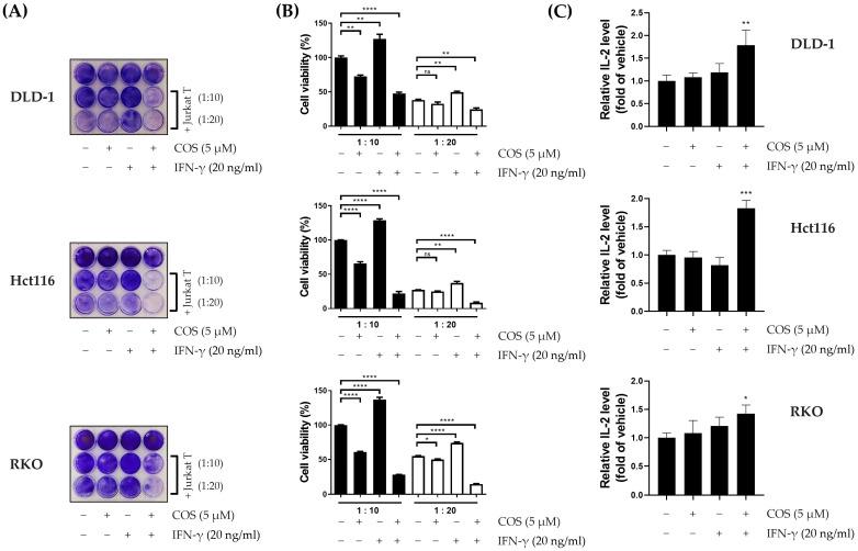 https://cdn.ncbi.nlm.nih.gov/pmc/blobs/5d95/10740471/c5beb4c213f5/antioxidants-12-02131-g003.jpg