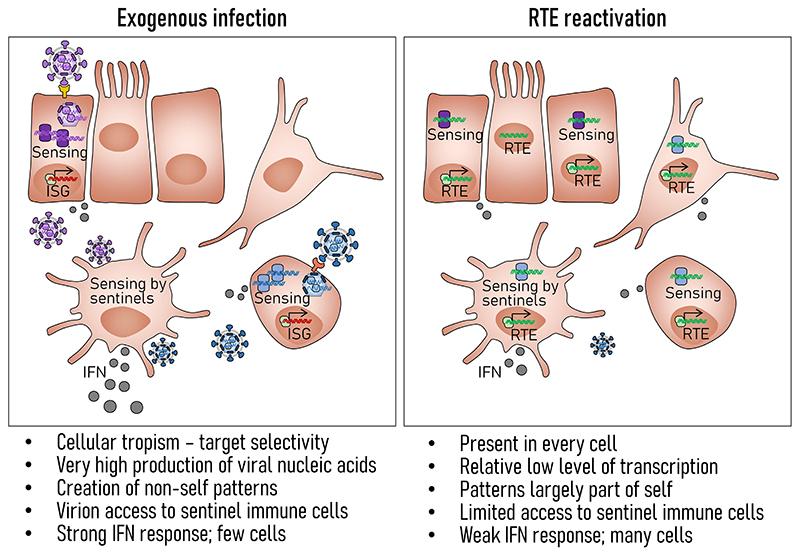 https://cdn.ncbi.nlm.nih.gov/pmc/blobs/5d96/7618056/53ab027b6a39/EMS207946-f001.jpg