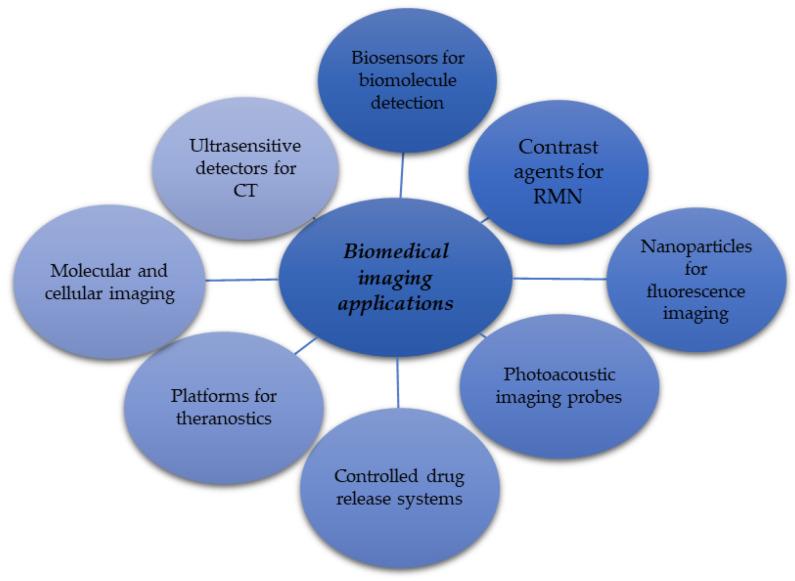 https://cdn.ncbi.nlm.nih.gov/pmc/blobs/5d99/11432502/f51ce18101f9/ijms-25-10174-g005.jpg