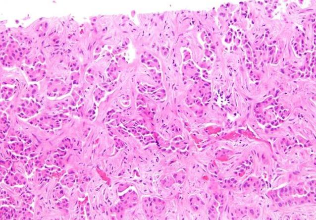 https://cdn.ncbi.nlm.nih.gov/pmc/blobs/5d99/6465943/b7eac310dd2e/WJG-25-1653-g003.jpg