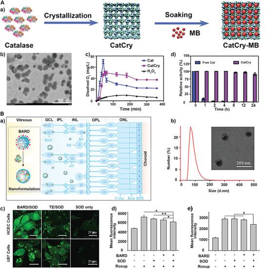 https://cdn.ncbi.nlm.nih.gov/pmc/blobs/5d9a/10265064/2d2989eca028/ADVS-10-2206181-g014.jpg