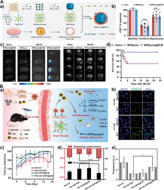 https://cdn.ncbi.nlm.nih.gov/pmc/blobs/5d9a/10265064/910ba18cdc01/ADVS-10-2206181-g013.jpg