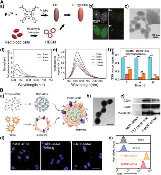 https://cdn.ncbi.nlm.nih.gov/pmc/blobs/5d9a/10265064/bde00d5a9241/ADVS-10-2206181-g010.jpg