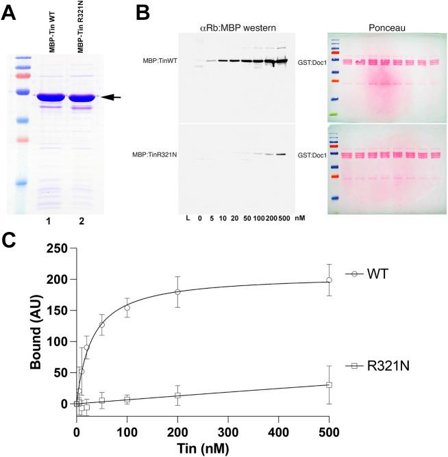 https://cdn.ncbi.nlm.nih.gov/pmc/blobs/5d9a/10548113/1a99b411db7e/dmm-16-050059-g3.jpg