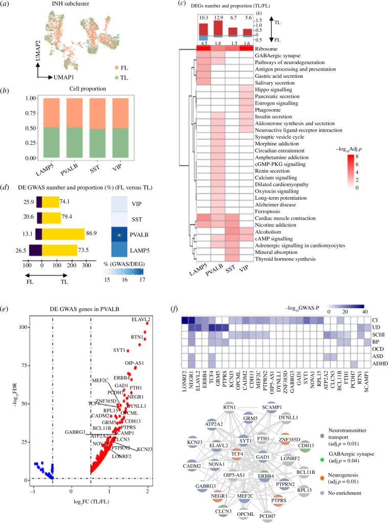 https://cdn.ncbi.nlm.nih.gov/pmc/blobs/5d9b/11285532/3f1d841f5453/rsob.240063.f004.jpg