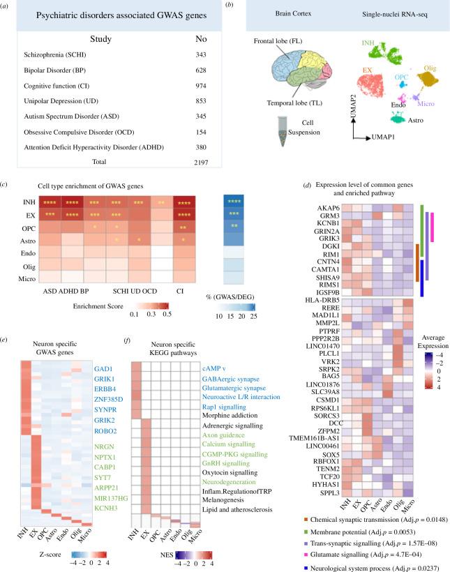 https://cdn.ncbi.nlm.nih.gov/pmc/blobs/5d9b/11285532/710d710b8070/rsob.240063.f002.jpg