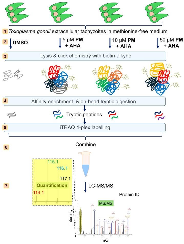 https://cdn.ncbi.nlm.nih.gov/pmc/blobs/5d9b/11510713/3f76ac03d4b6/pathogens-13-00879-g002.jpg
