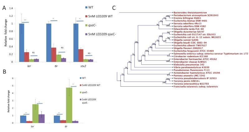 https://cdn.ncbi.nlm.nih.gov/pmc/blobs/5d9b/4235214/cfb905b2cc1b/mbo0061420670001.jpg