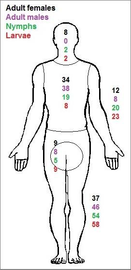 https://cdn.ncbi.nlm.nih.gov/pmc/blobs/5d9c/3880168/e1e43344f9dd/1756-3305-6-362-4.jpg