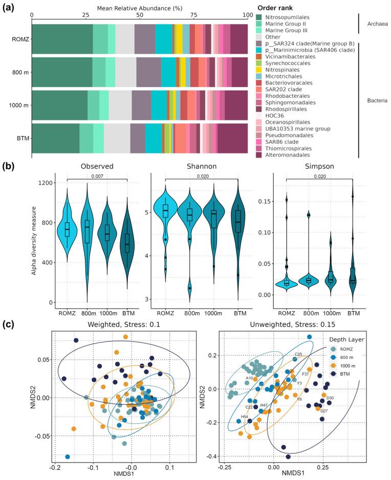 https://cdn.ncbi.nlm.nih.gov/pmc/blobs/5d9d/12113859/79a225dcba18/microorganisms-13-01106-g002.jpg