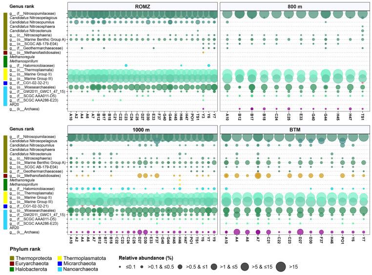 https://cdn.ncbi.nlm.nih.gov/pmc/blobs/5d9d/12113859/ee95d0c757c8/microorganisms-13-01106-g005.jpg