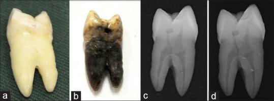 https://cdn.ncbi.nlm.nih.gov/pmc/blobs/5d9e/5887641/2be6a90fe3a4/JFDS-9-165-g005.jpg