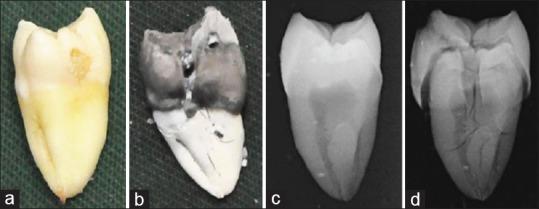 https://cdn.ncbi.nlm.nih.gov/pmc/blobs/5d9e/5887641/85272e05ab5e/JFDS-9-165-g008.jpg