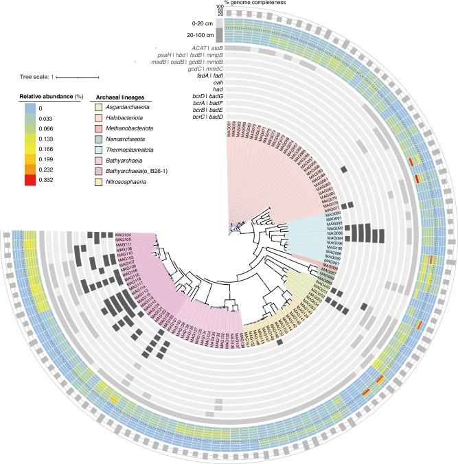 https://cdn.ncbi.nlm.nih.gov/pmc/blobs/5da0/11704145/e8f68973d4f2/41522_2024_638_Fig5_HTML.jpg