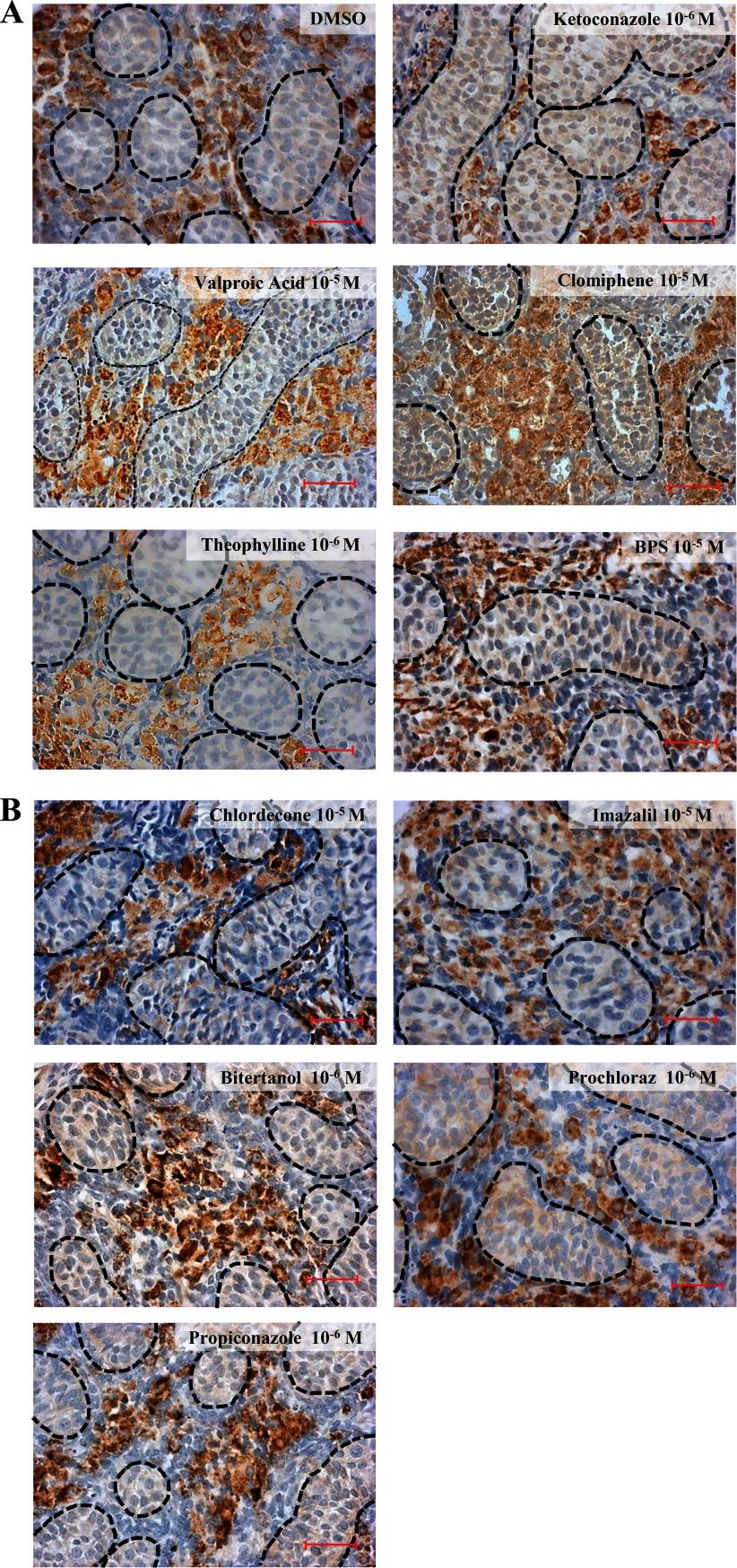 https://cdn.ncbi.nlm.nih.gov/pmc/blobs/5da2/5783658/fad1b2b75018/EHP1014_f2.jpg
