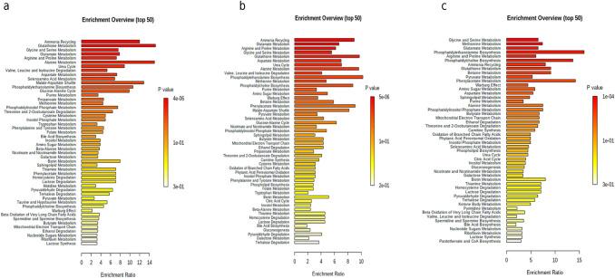 https://cdn.ncbi.nlm.nih.gov/pmc/blobs/5da4/8616861/b324757dc81d/11306_2021_1852_Fig4_HTML.jpg