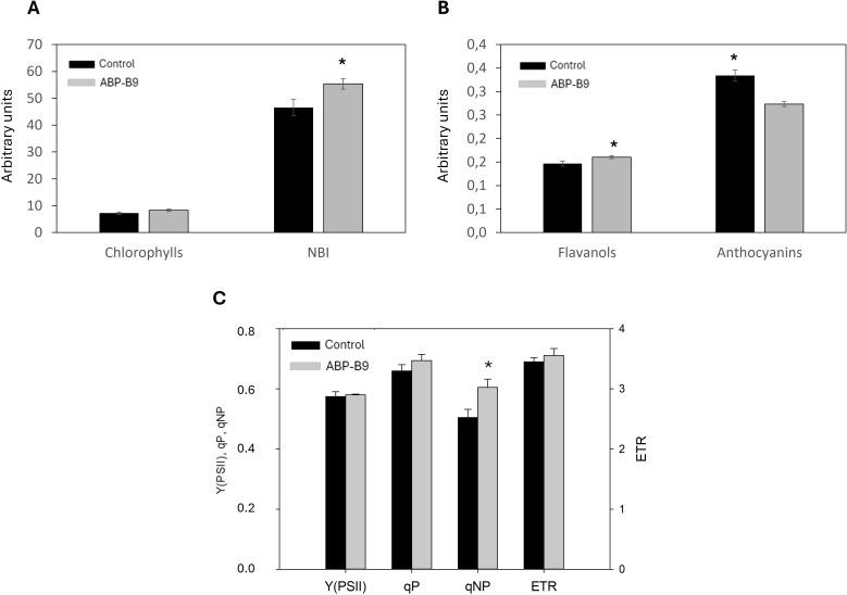 https://cdn.ncbi.nlm.nih.gov/pmc/blobs/5da6/12239753/15c43ae828e3/fpls-16-1561298-g005.jpg