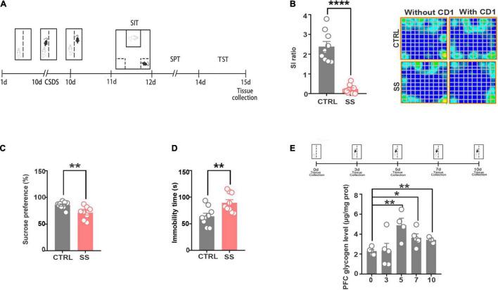 https://cdn.ncbi.nlm.nih.gov/pmc/blobs/5da6/8820374/531a2095b235/fnmol-14-819440-g001.jpg