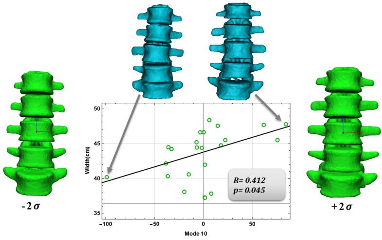 https://cdn.ncbi.nlm.nih.gov/pmc/blobs/5da6/9405443/6ccd64fad1aa/bioengineering-09-00408-g006.jpg