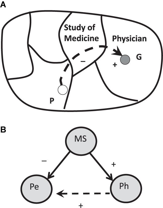 https://cdn.ncbi.nlm.nih.gov/pmc/blobs/5da8/6157403/bf2d75b98e55/fpsyg-09-01616-g005.jpg