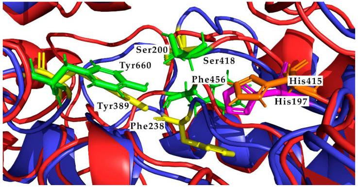 https://cdn.ncbi.nlm.nih.gov/pmc/blobs/5da8/8772715/c1587e002376/biology-11-00133-g006.jpg