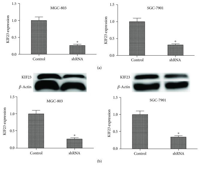 https://cdn.ncbi.nlm.nih.gov/pmc/blobs/5dab/6441499/3a57cc5de0cc/DM2019-9751923.002.jpg