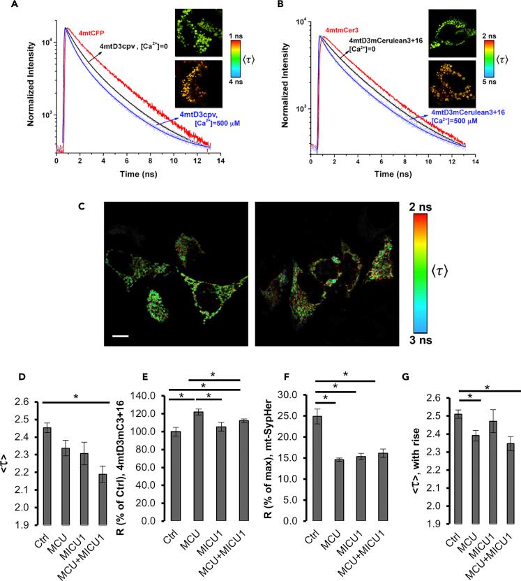 https://cdn.ncbi.nlm.nih.gov/pmc/blobs/5dab/6581653/a99c5832db72/gr3.jpg