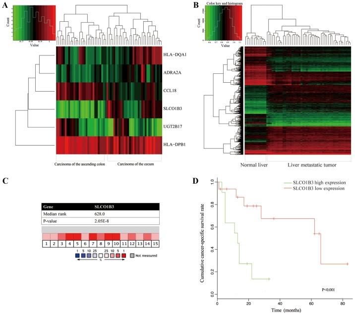 https://cdn.ncbi.nlm.nih.gov/pmc/blobs/5dad/5958713/748ade282dbd/IJO-53-01-0087-g03.jpg