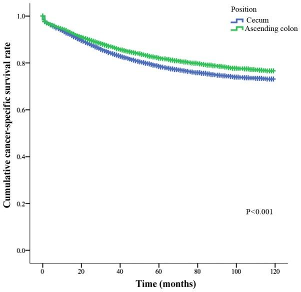 https://cdn.ncbi.nlm.nih.gov/pmc/blobs/5dad/5958713/7f247a898d69/IJO-53-01-0087-g00.jpg