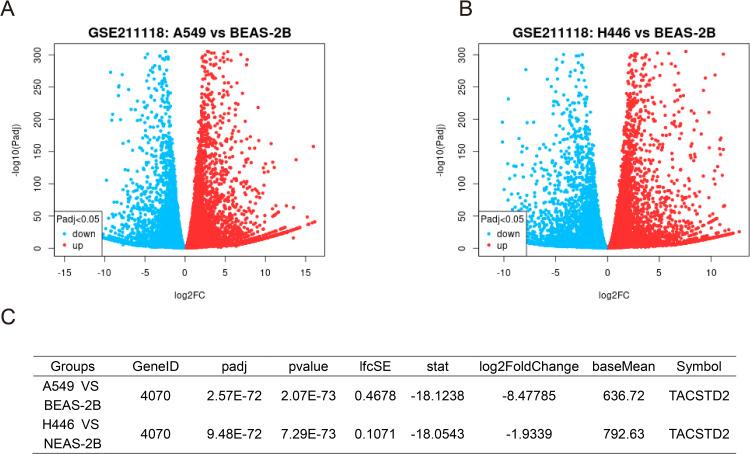 https://cdn.ncbi.nlm.nih.gov/pmc/blobs/5daf/12411510/2e5134d90d2d/fonc-15-1638054-g002.jpg
