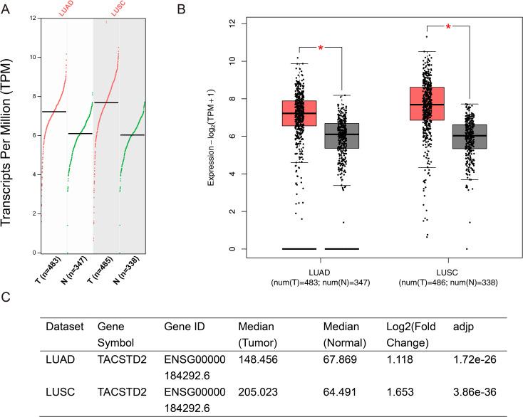 https://cdn.ncbi.nlm.nih.gov/pmc/blobs/5daf/12411510/ebeceded133d/fonc-15-1638054-g001.jpg