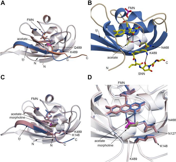 https://cdn.ncbi.nlm.nih.gov/pmc/blobs/5daf/8131319/888e8937d6e5/gr2.jpg