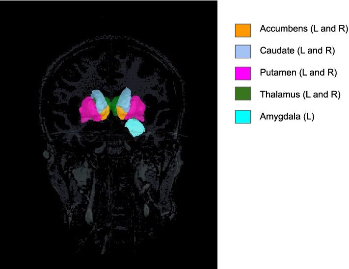 https://cdn.ncbi.nlm.nih.gov/pmc/blobs/5db1/8556220/13424dfc1b12/10548_2021_874_Fig12_HTML.jpg