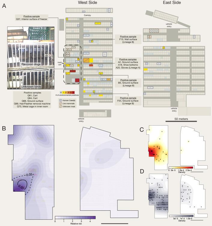 https://cdn.ncbi.nlm.nih.gov/pmc/blobs/5db2/9348750/496702504706/science.abp8715-f4.jpg