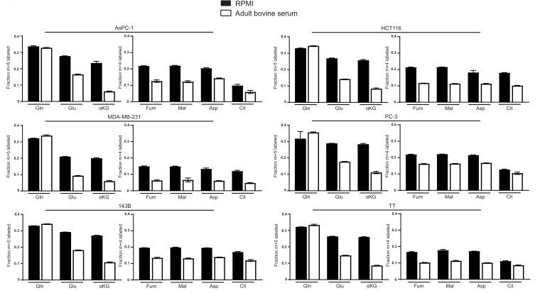 https://cdn.ncbi.nlm.nih.gov/pmc/blobs/5db4/5589418/079177cdb216/elife-27713-fig1-figsupp3.jpg