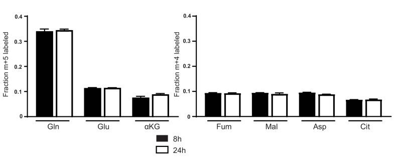 https://cdn.ncbi.nlm.nih.gov/pmc/blobs/5db4/5589418/15b556e9c969/elife-27713-fig1-figsupp1.jpg