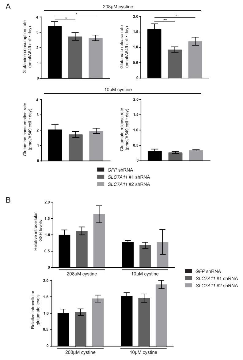 https://cdn.ncbi.nlm.nih.gov/pmc/blobs/5db4/5589418/423c9cdb5c45/elife-27713-fig4-figsupp2.jpg
