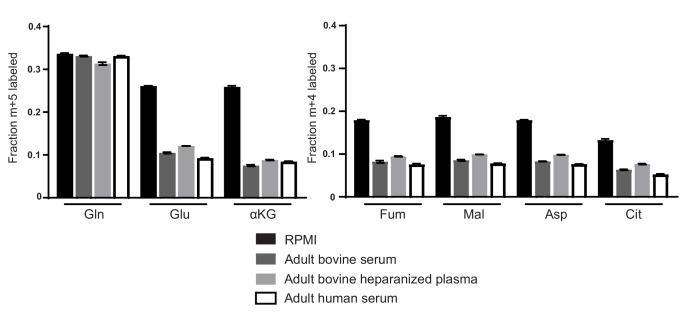https://cdn.ncbi.nlm.nih.gov/pmc/blobs/5db4/5589418/4c0adb4615a0/elife-27713-fig1-figsupp2.jpg