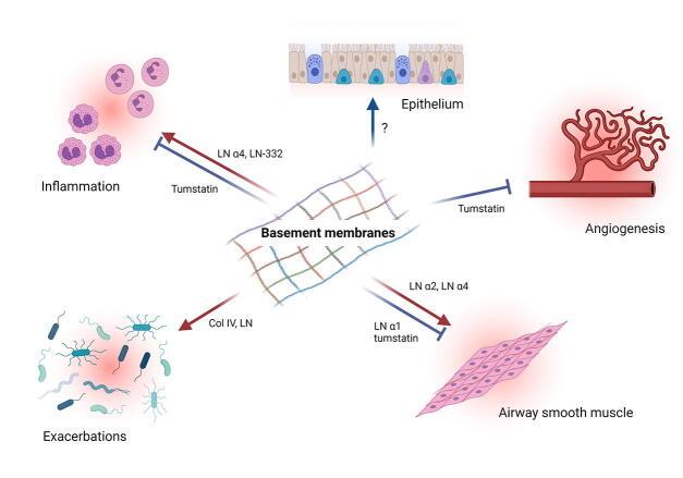 https://cdn.ncbi.nlm.nih.gov/pmc/blobs/5db4/8632995/e7ad7a73ebd2/gr2.jpg