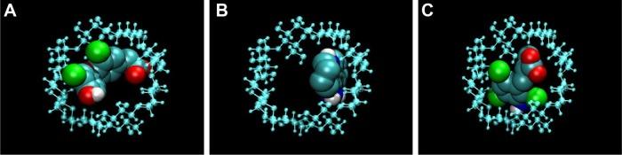 https://cdn.ncbi.nlm.nih.gov/pmc/blobs/5db5/4371900/46b4c6536bab/ijn-10-2249Fig4.jpg