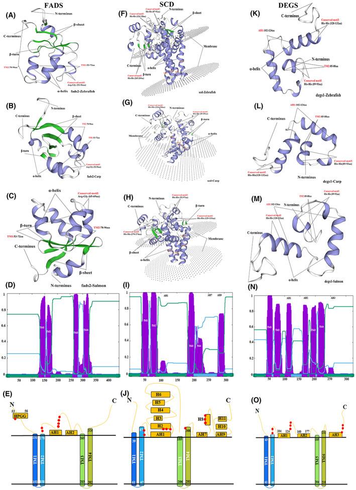 https://cdn.ncbi.nlm.nih.gov/pmc/blobs/5db7/10240347/2349939a6f54/FEB4-13-1067-g002.jpg