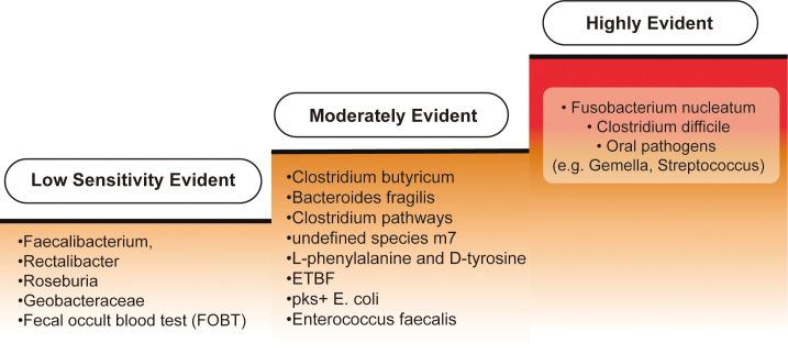 https://cdn.ncbi.nlm.nih.gov/pmc/blobs/5db7/11524876/7ec71352776e/fimmu-15-1431747-g004.jpg