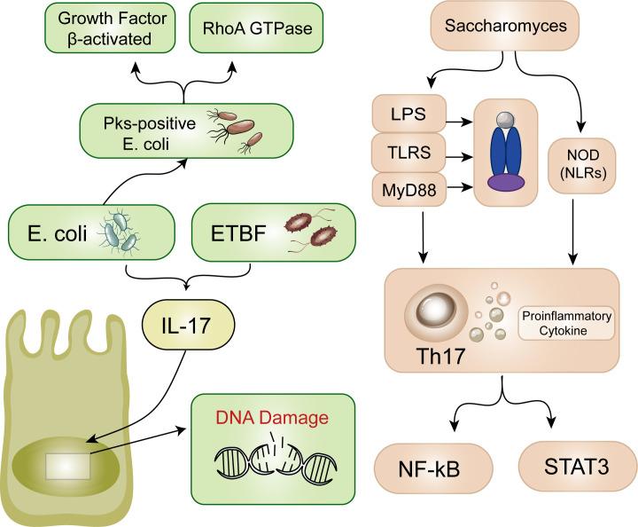 https://cdn.ncbi.nlm.nih.gov/pmc/blobs/5db7/11524876/cc738933c125/fimmu-15-1431747-g002.jpg