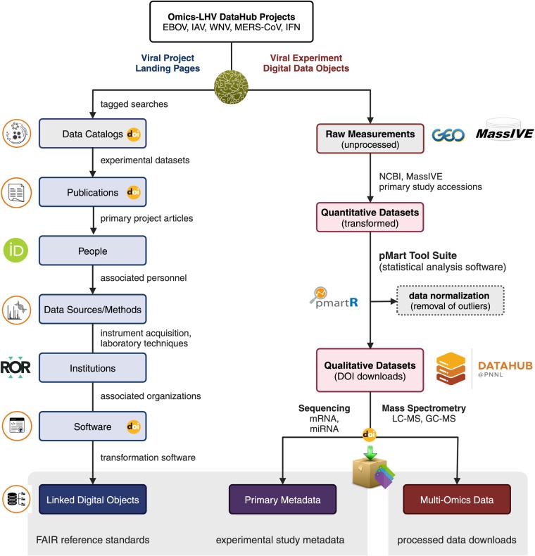 https://cdn.ncbi.nlm.nih.gov/pmc/blobs/5db9/10987564/6e68e1bb046e/41597_2024_3124_Fig7_HTML.jpg